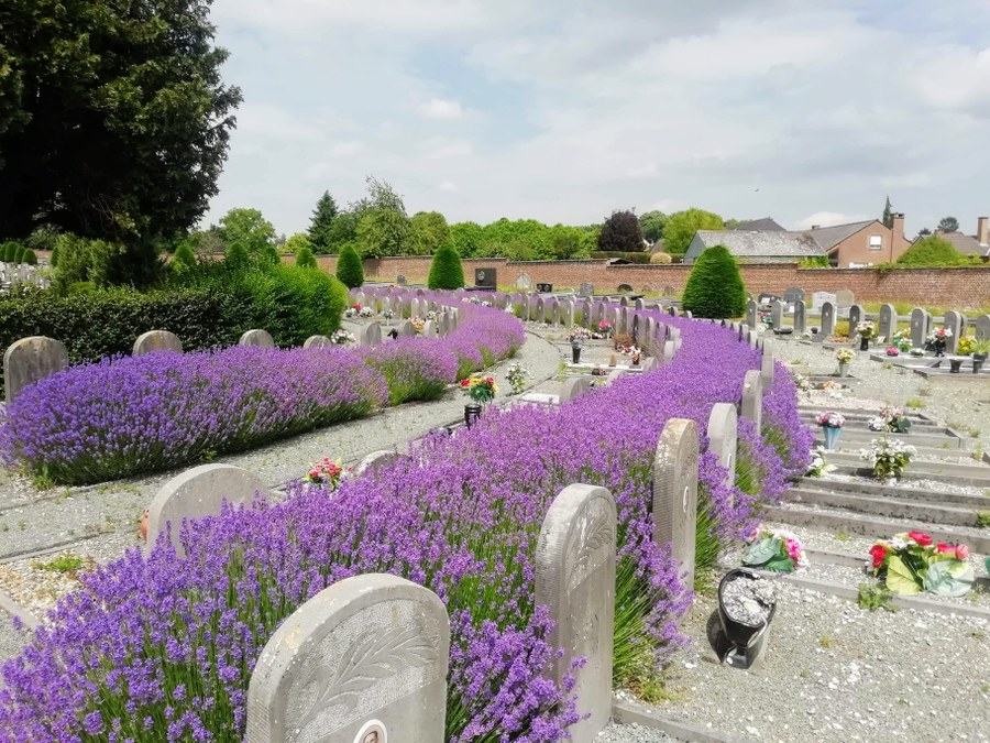 Les cimetières communaux à l'approche de la Toussaint — Lessines