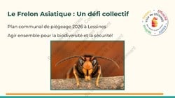 Lutte contre le frelon asiatique - séance d'information et rupture des stocks