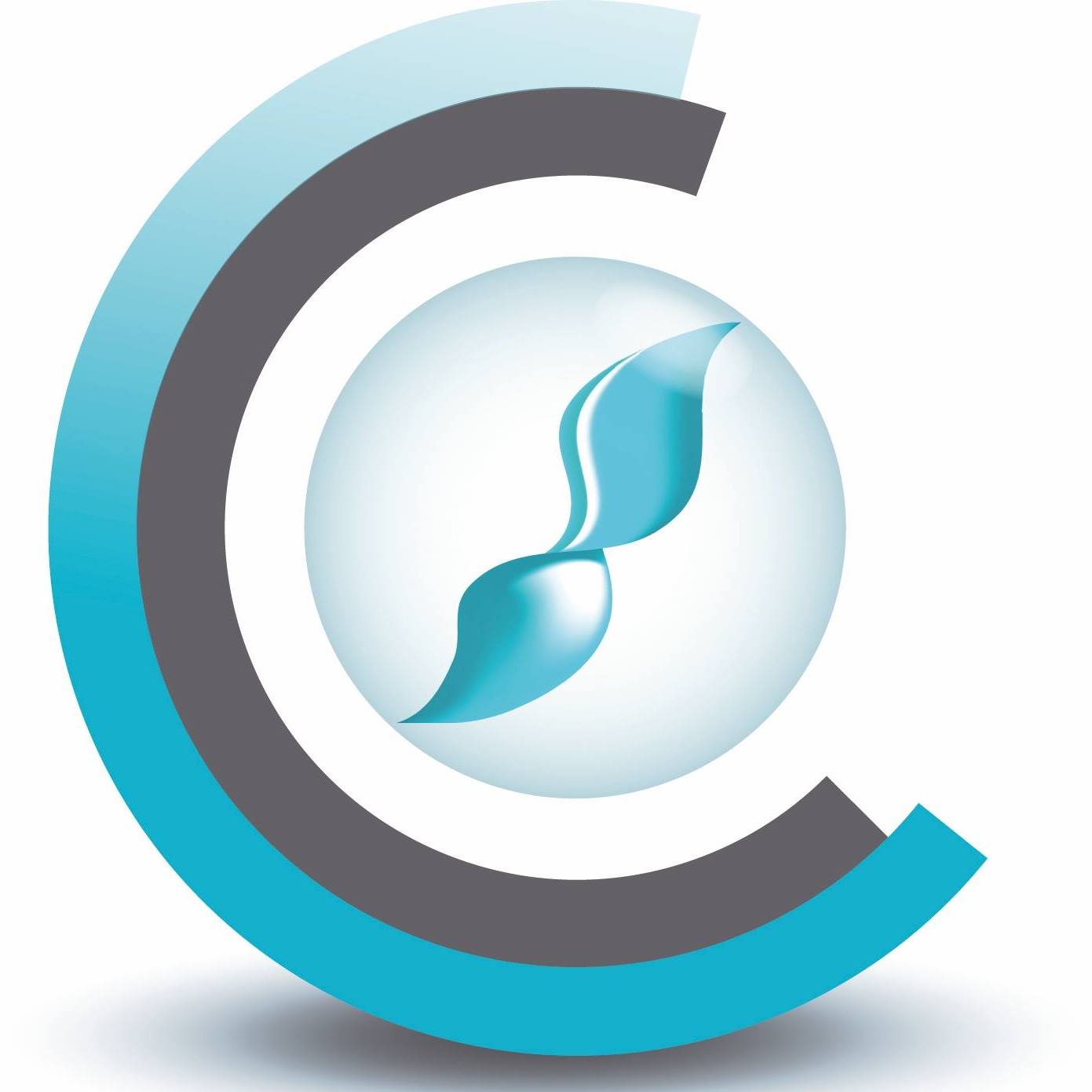 Conseil de l'Enseignement des Communes et des Provinces
