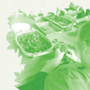 Illustration de l'actualité - cliquer pour agrandir