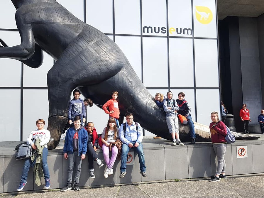 Visite du musée des Sciences naturelles et Balade à Bruxelles