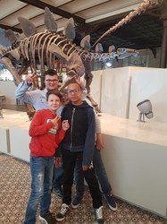  Visite du musée des Sciences naturelles et Balade à Bruxelles 
