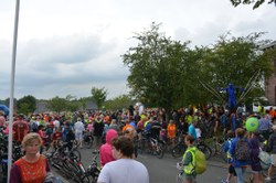 DSC_6173.JPG