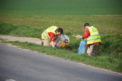  Scouts 