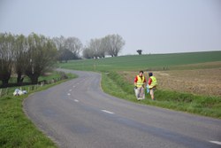  Scouts 