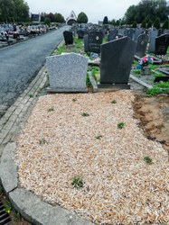 Cimetière de Lessines 
