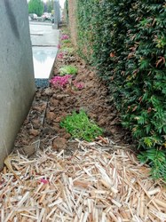  Cimetière de Lessines 