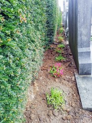  Cimetière de Lessines 