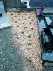  Cimetière de Wannebecq 