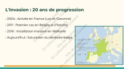  Frelon Asiatique Lessines 25032026 Page 02 