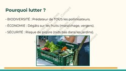  Frelon Asiatique Lessines 25032026 Page 14 