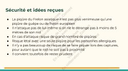  Frelon Asiatique Lessines 25032026 Page 16 