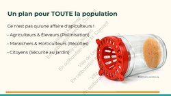  Frelon Asiatique Lessines 25032026 Page 18 