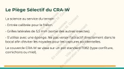  Frelon Asiatique Lessines 25032026 Page 19 