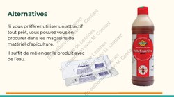  Frelon Asiatique Lessines 25032026 Page 22 