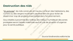  Frelon Asiatique Lessines 25032026 Page 29 