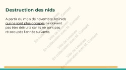  Frelon Asiatique Lessines 25032026 Page 30 