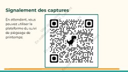  Frelon Asiatique Lessines 25032026 Page 32 